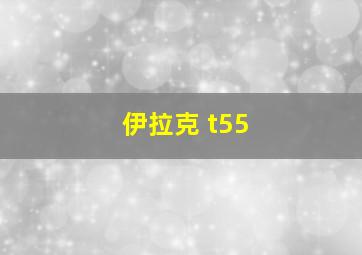 伊拉克 t55